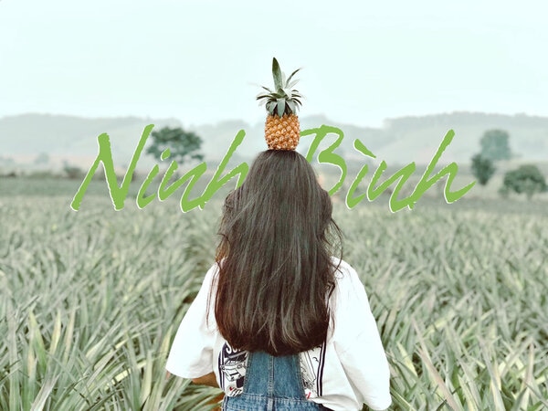 Đồi Dứa Ninh bình